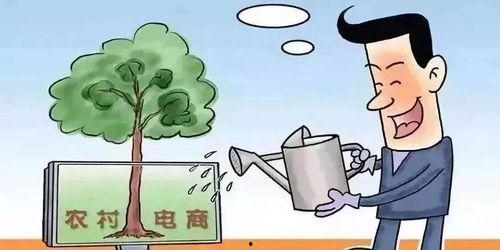 辽宁农村电商扶贫网红,网红助力乡村振兴新篇章