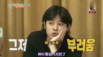 两天一夜 明星,明星们的欢乐时光与深度互动