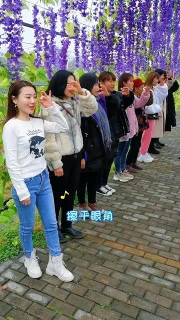 网红歌合拍,带你领略音乐与舞蹈的完美融合