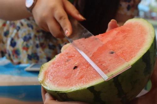 6万一晚吃瓜,揭秘6万一晚的奢华吃瓜体验