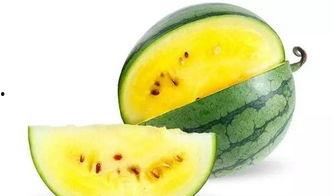 西瓜地的吃瓜画,一场别开生面的吃瓜画盛宴