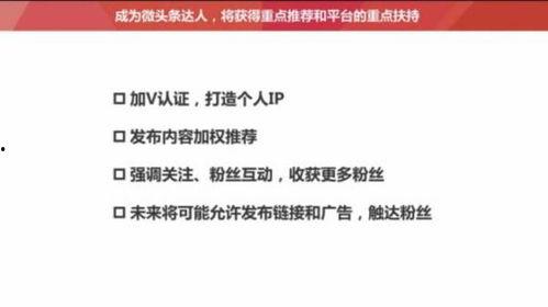 头条号运营的方向,头条号运营新方向深度解析