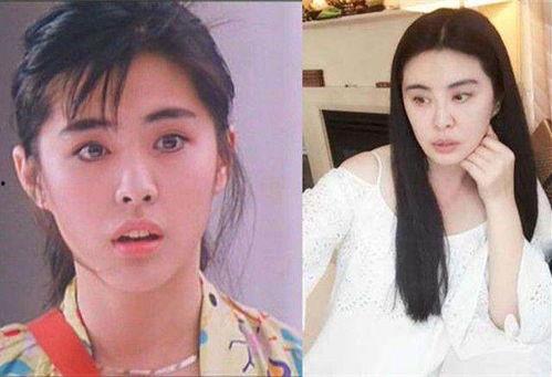 明星1988年,回顾那些年闪耀的明星风采