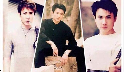 明星年轻男朋友,揭秘明星们的甜蜜守护者