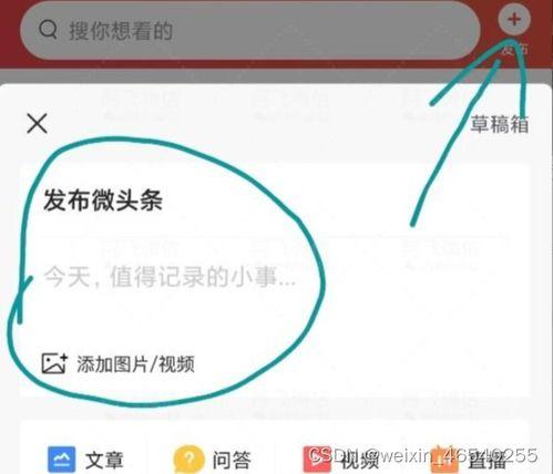 微头条新手的领域方向,探索领域方向，开启内容创作之旅
