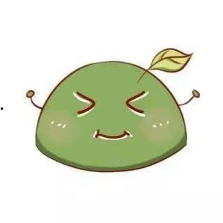 网红 团子,网络红人的魅力与影响力