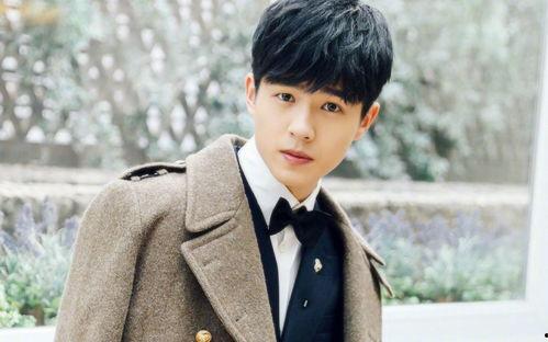 什么鸣明星,揭秘明星背后的成长故事