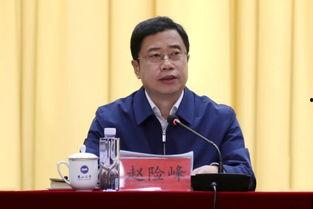 赵险峰 头条,揭秘赵险峰的精彩人生与辉煌成就