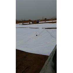 河南网红壁布施工