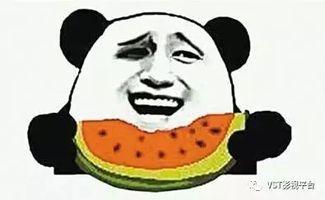 吃瓜群众小胖图片搞笑