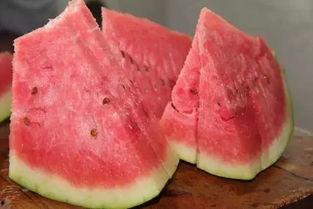 吃瓜上蹦下跳,蹦跳间的欢乐时光