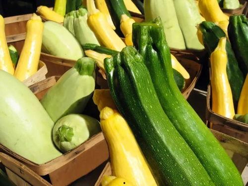 北方夏季吃的瓜