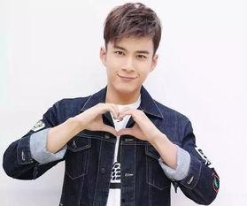 男明星 夏,星光熠熠的男明星之路