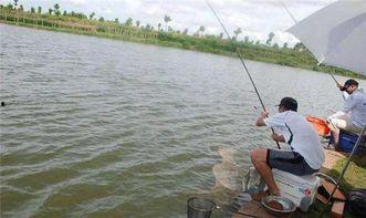 中国钓鱼人爆料视频,揭秘水下世界与民间智慧