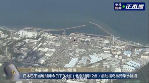 排放核废水最新爆料,最新爆料揭示环境危机