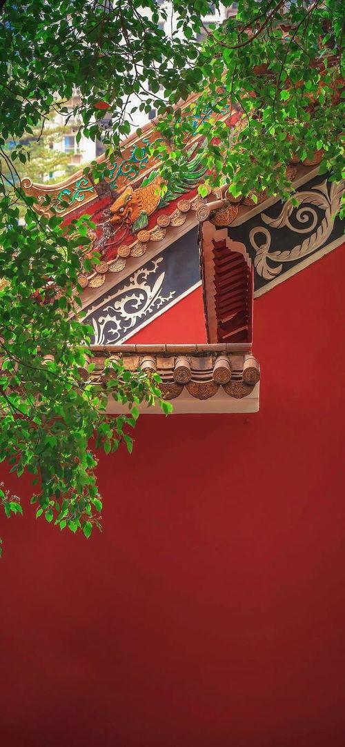 墨尔本网红墙图片欣赏,色彩斑斓的街头艺术盛宴