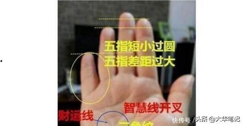 小拇指短的网红,揭秘网络红人的独特魅力