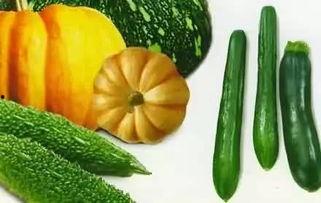 这大晚上的 吃瓜,揭秘娱乐圈最新热点