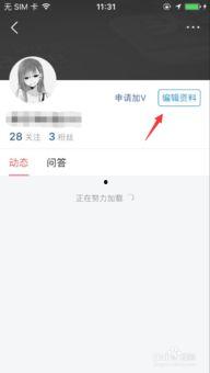 头条名字可以加字母吗,揭秘字母加成背后的故事