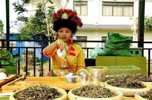 勐海网红卖茶女