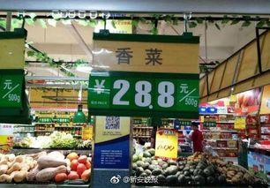 寿光市吃瓜娱乐工作室