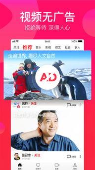 娱乐吃瓜视频素材下载,吃瓜视频背后的精彩故事