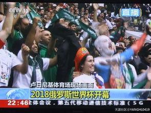 娱乐吃瓜群众歌曲,揭秘娱乐圈背后的“瓜”事