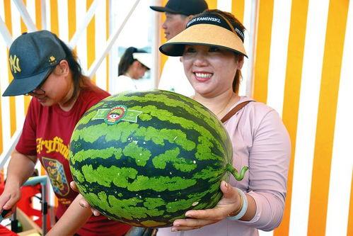 每天看娱乐吃瓜,笑谈娱乐圈风云