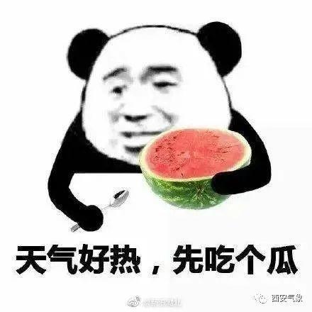 娱乐吃瓜酱输在了哪里